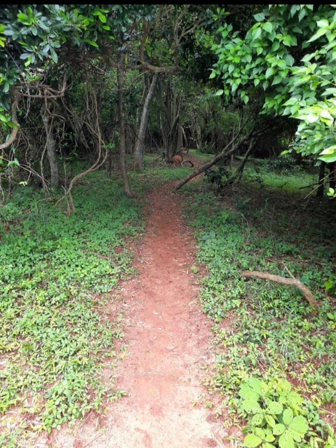 No 2 Heleza Blvd Sibaya, Ocean Deuns, Umhlanga Durban Lägenhet Umdloti Exteriör bild